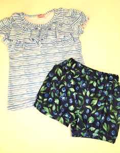 Blueberry Short Set